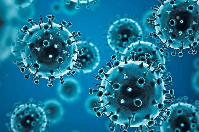 coronavirus 2 Featured Story, Covid-19, State News