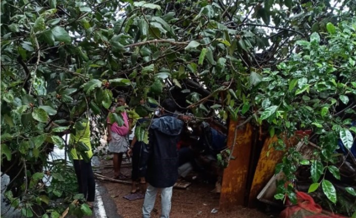 ಕರಾವಳಿಯಲ್ಲಿ ಮುಂದುವರಿದ ಮಳೆ: ಹಲವೆಡೆ ಅವಾಂತರ